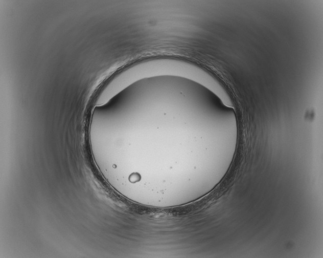 X0000114170395200911051532