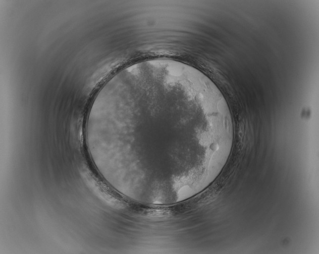 X0000114170398200911051532