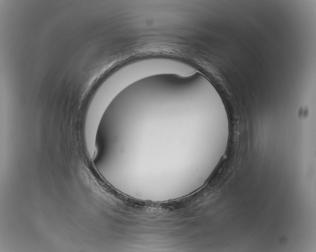 X0000114170399200911051532