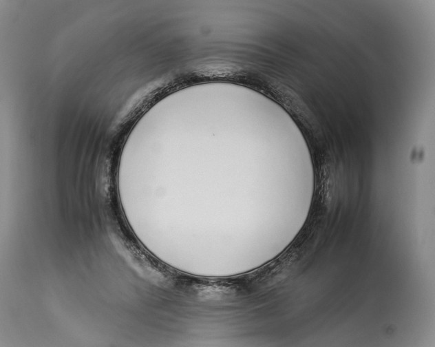 X0000114170400200911051532