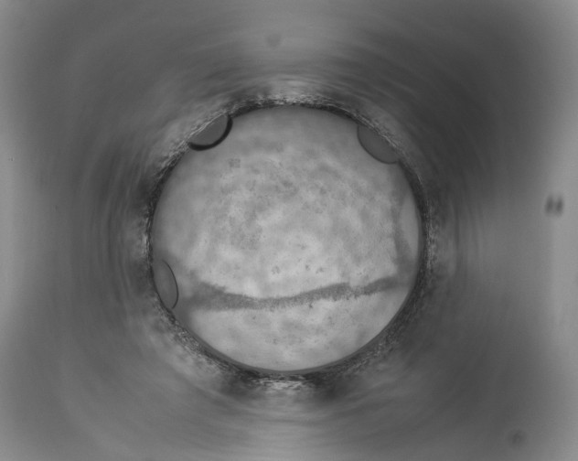 X0000114170401200911051532