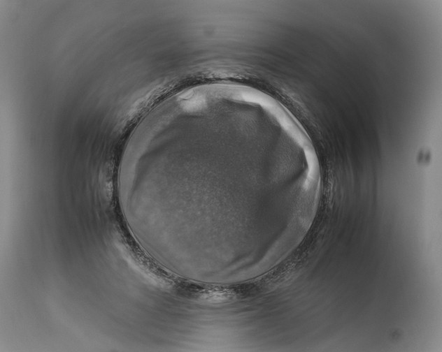 X0000114170402200911051532