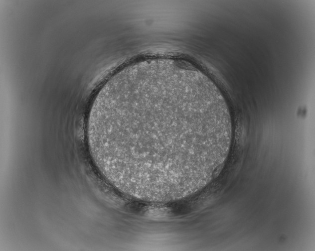 X0000114170403200911051532