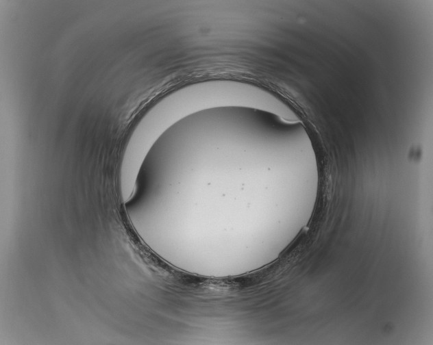 X0000114170405200911051532