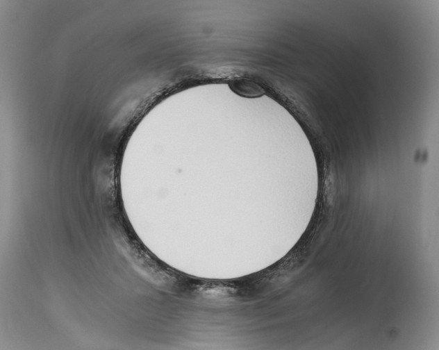 X0000114170407200911051532