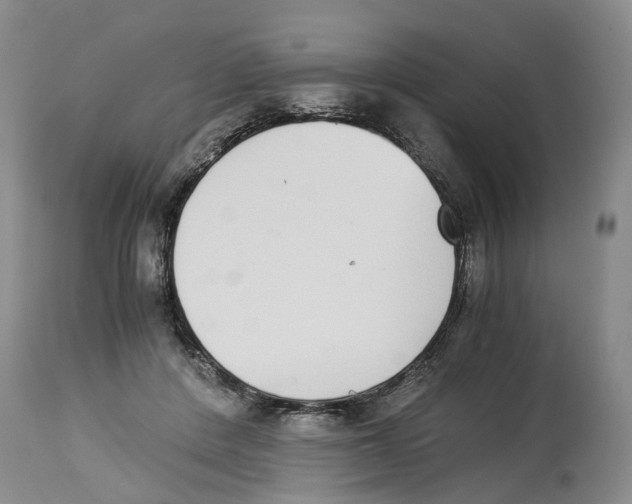 X0000114170408200911051532