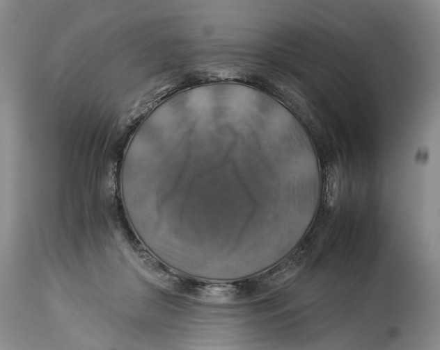 X0000114170410200911051532