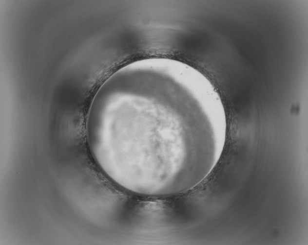 X0000114170411200911051532