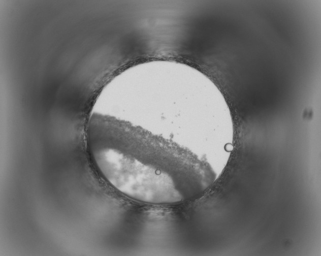 X0000114170415200911051532