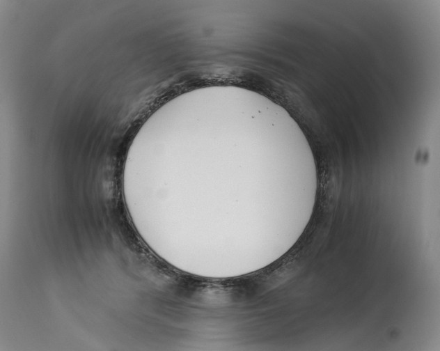 X0000114170416200911051532