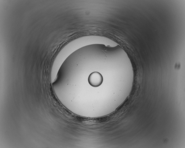 X0000114170417200911051532