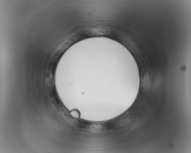 X0000114170418200911051532