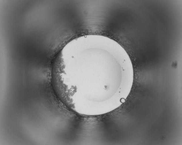 X0000114170419200911051532