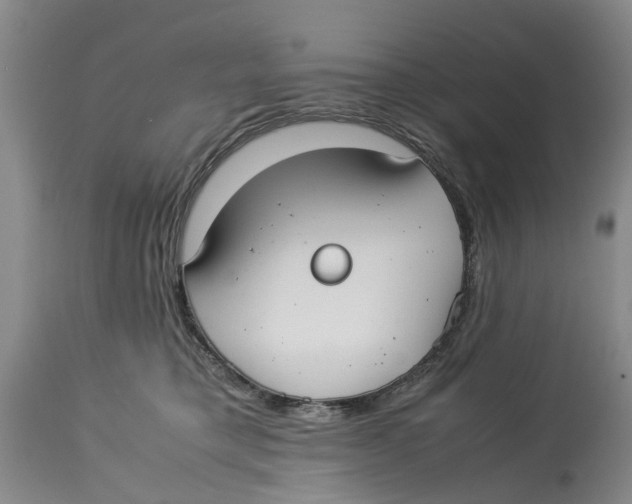 X0000114170421200911051532