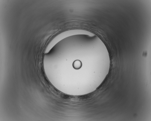 X0000114170423200911051532