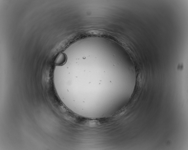 X0000114170424200911051532