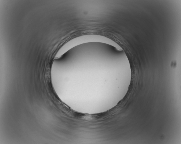 X0000114170425200911051532