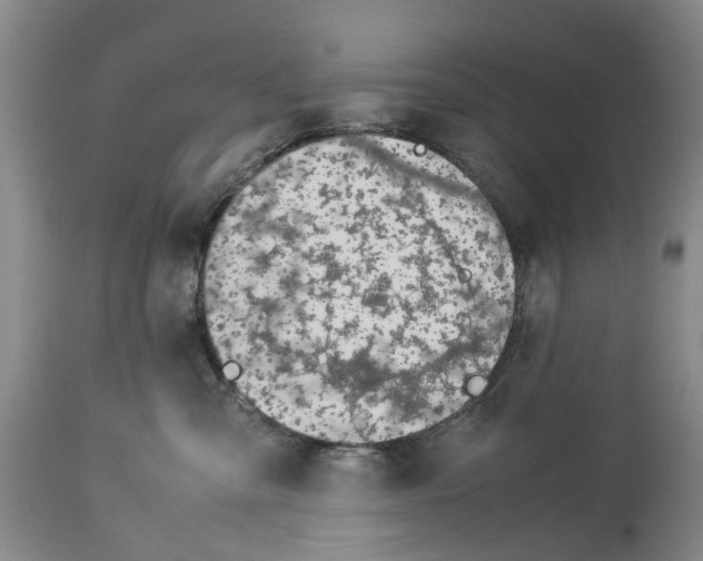 X0000114170427200911051532