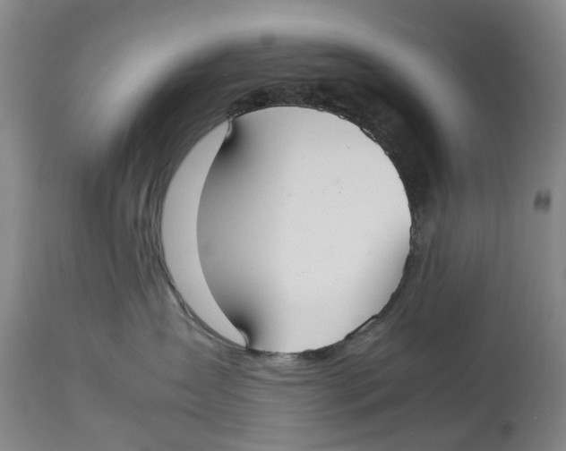 X0000114170431200911051532