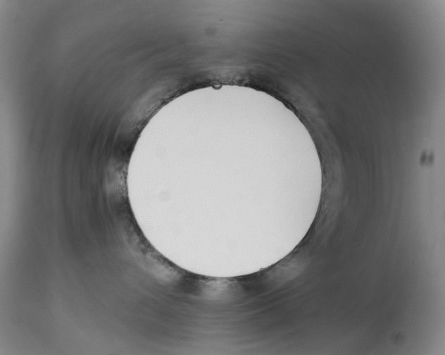 X0000114170432200911051532