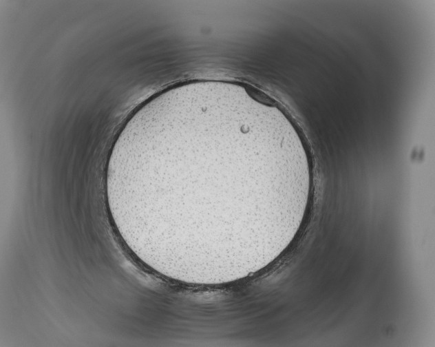 X0000114170433200911051531