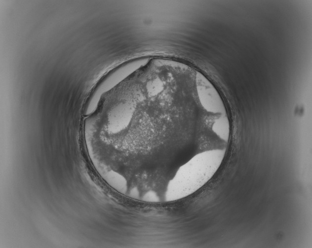 X0000114170434200911051531