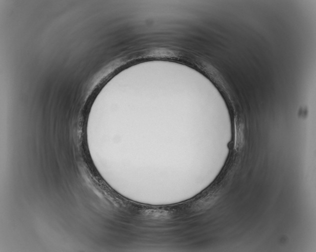 X0000114170435200911051531