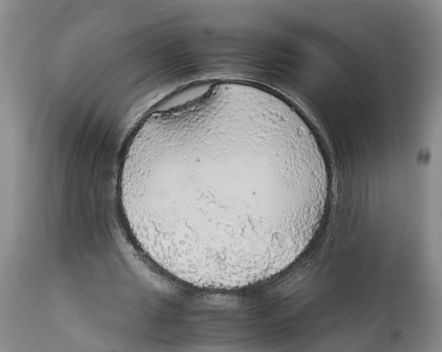 X0000114170437200911051531