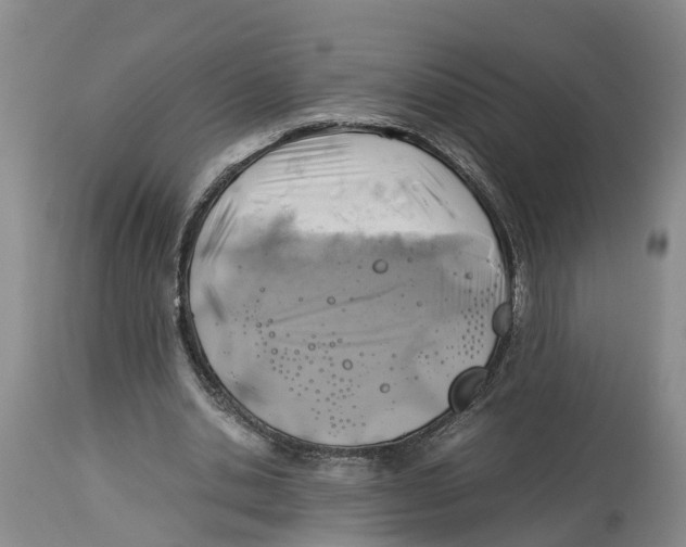 X0000114170438200911051531