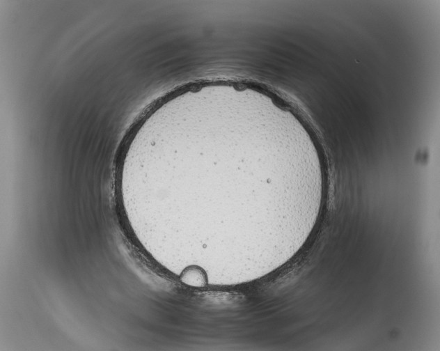 X0000114170439200911051531