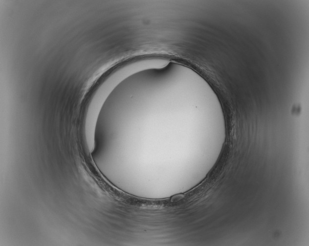 X0000114170440200911051531