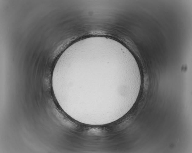 X0000114170441200911051531