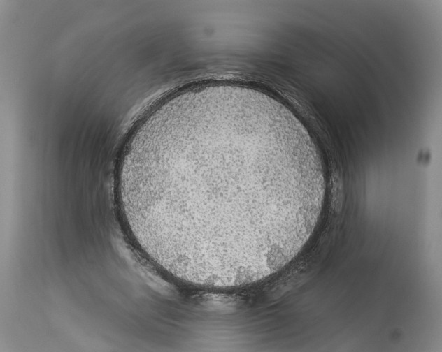 X0000114170442200911051531