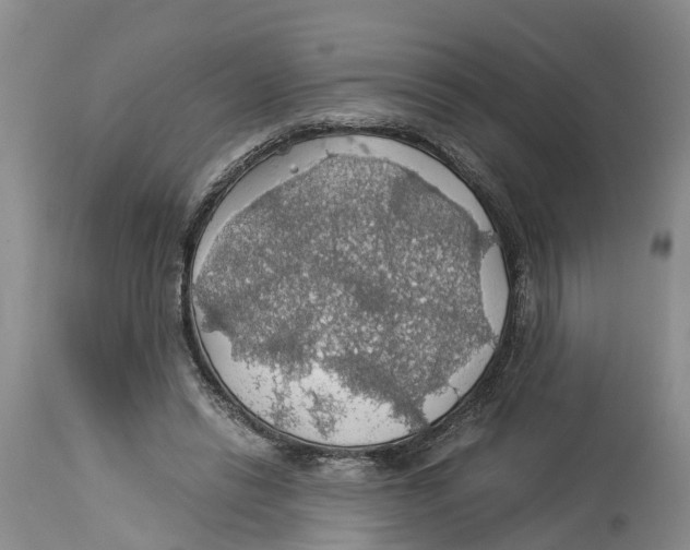 X0000114170446200911051531