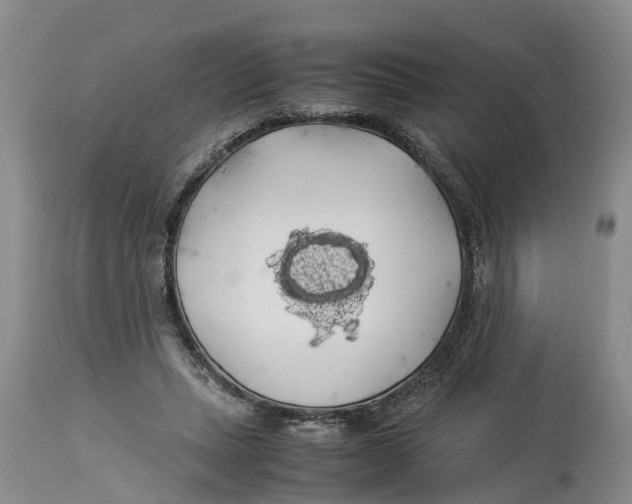 X0000114170447200911051531