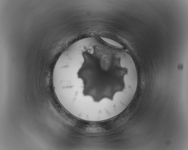 X0000114170451200911051531