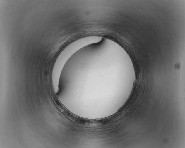 X0000114170452200911051531