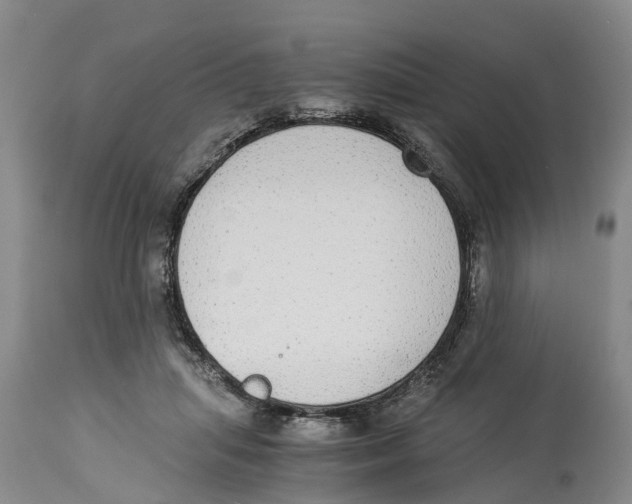 X0000114170455200911051531