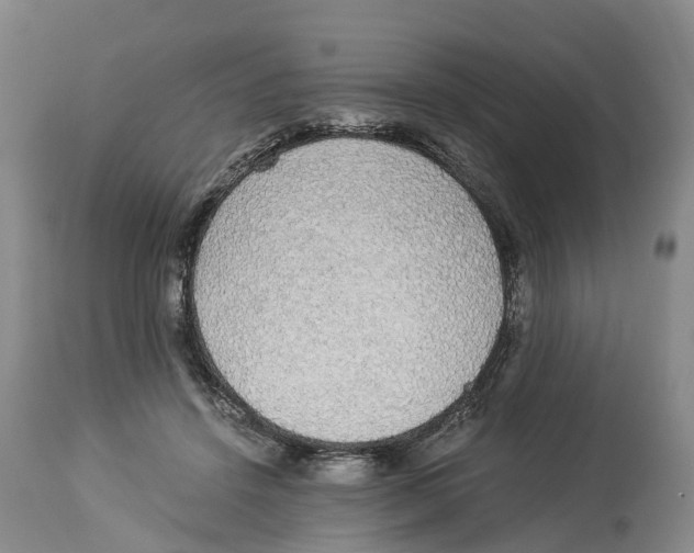 X0000114170456200911051531