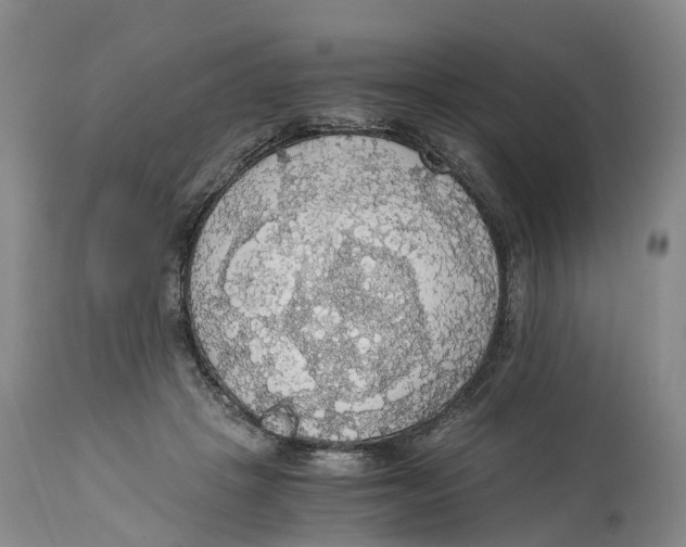 X0000114170457200911051531