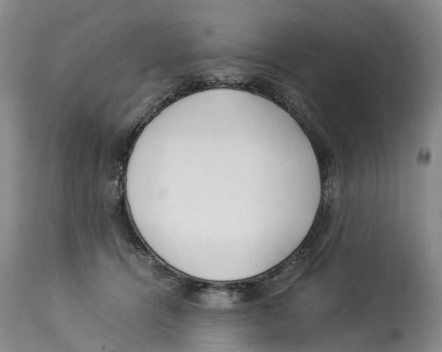 X0000114170464200911051531