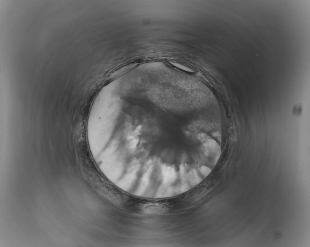 X0000114170465200911051531