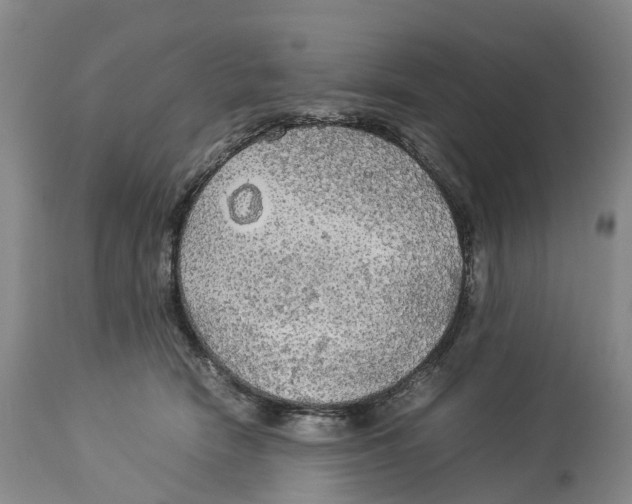 X0000114170466200911051531