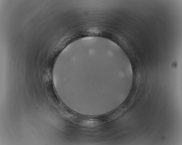 X0000114170467200911051531