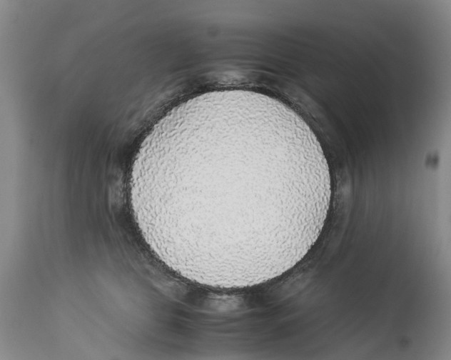 X0000114170469200911051531