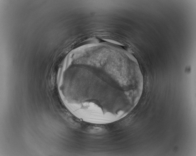 X0000114170475200911051531