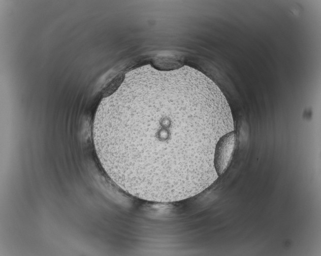 X0000114170478200911051531