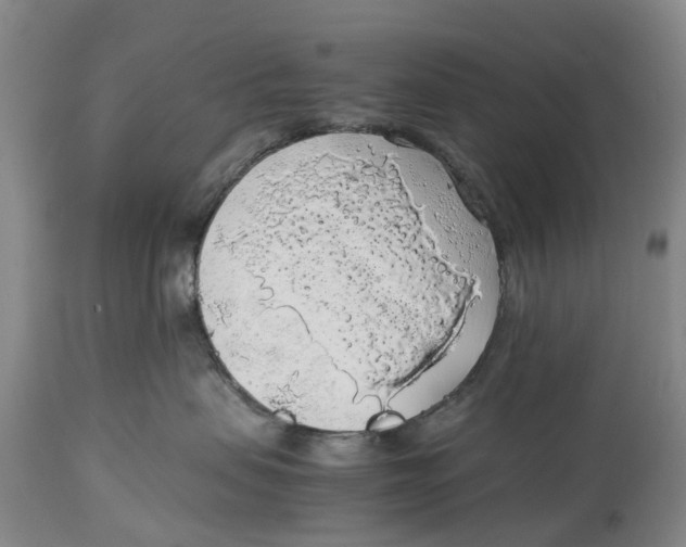 X0000114170479200911051532