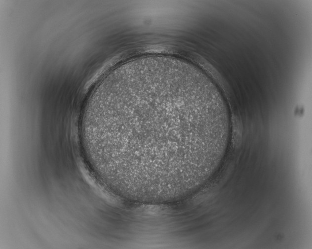 X0000114170482200911051531