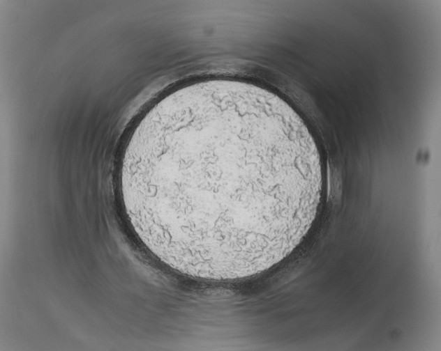 X0000114170483200911051531